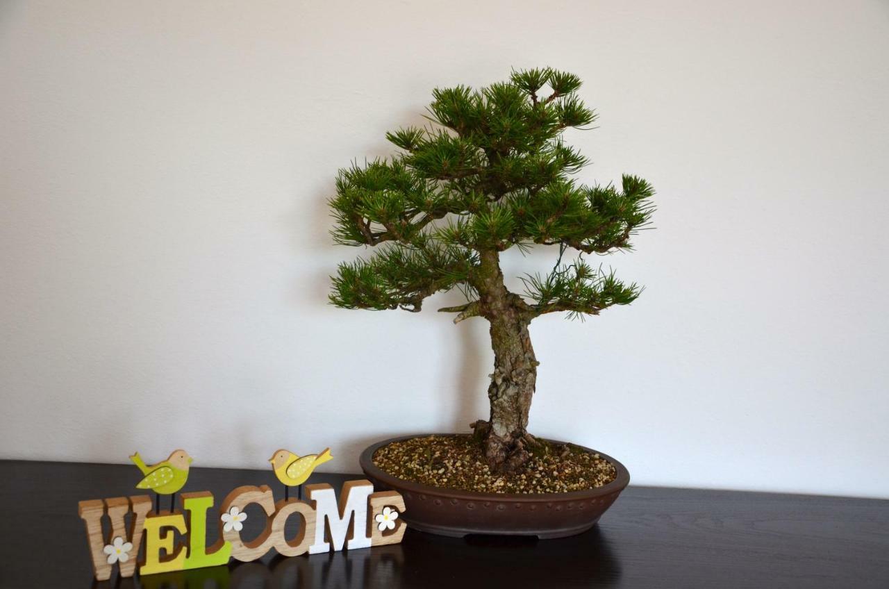 Apartamento Bonsai House Portoroz Exterior foto